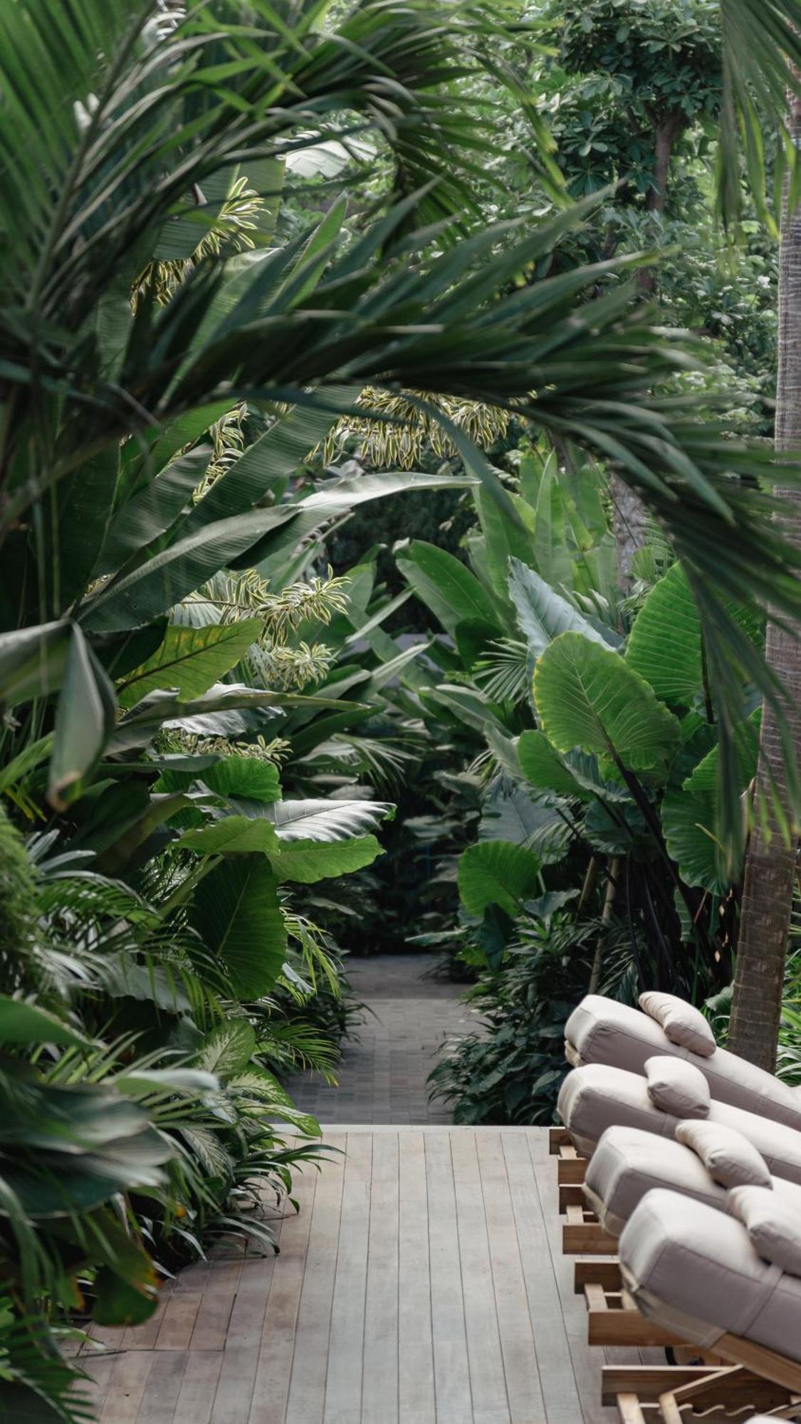 The Akasha Luxury Villa